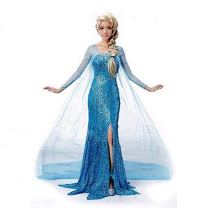 Frozen Elsa Costume, Size Large, Blue